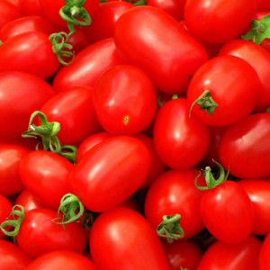 pomodori